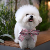 Load image into Gallery viewer, Exquisite Pet Butterfly Collar